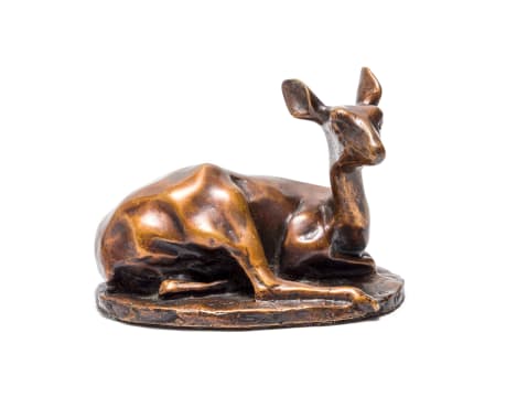 Tienie Pritchard; Recumbent Steenbok