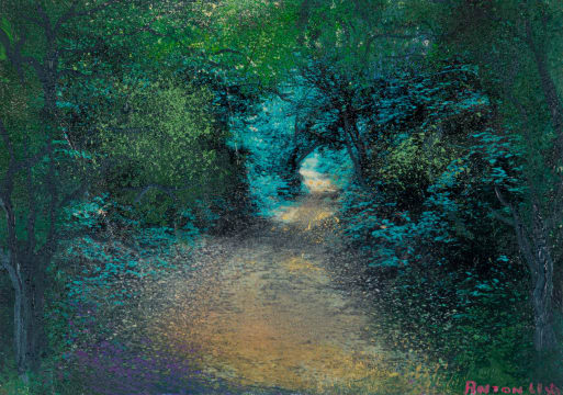 Anton Uys; Some Lone Forest Place