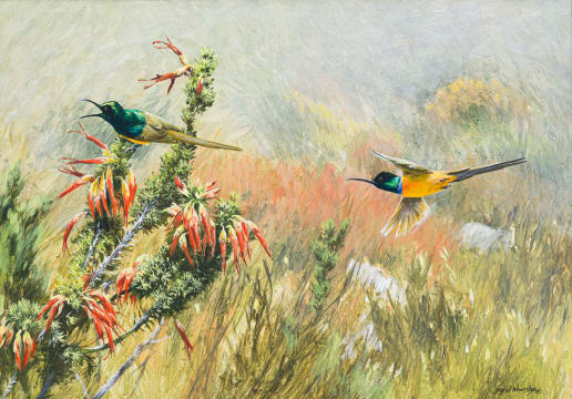 Ingrid Weiersbye; Sunbirds