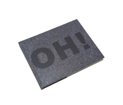 Willem Boshoff; The Oh No! Dictionary