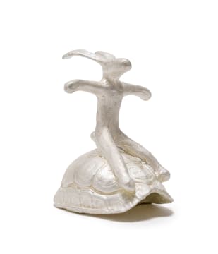Guy du Toit; Hare on Tortoise Shell