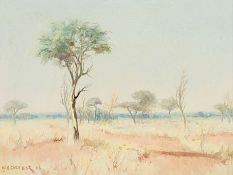 Willem Hermanus Coetzer; Bosveld 9 (Bushveld)
