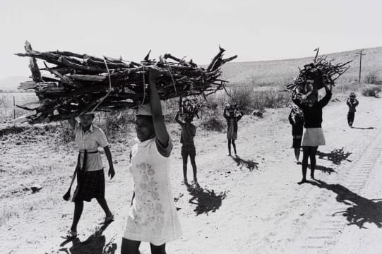 Paul Alberts; A Family Collecting Wood, Dinokana, North West Province 1980