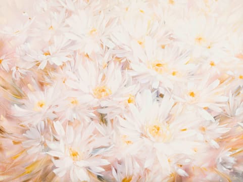 Mike Iggins; Daisies