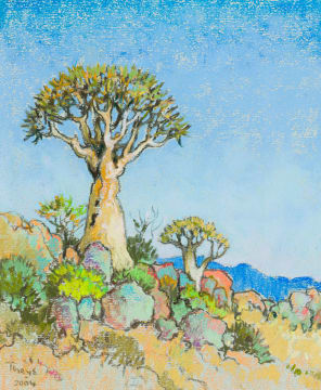 Conrad Theys; Kokerboom
