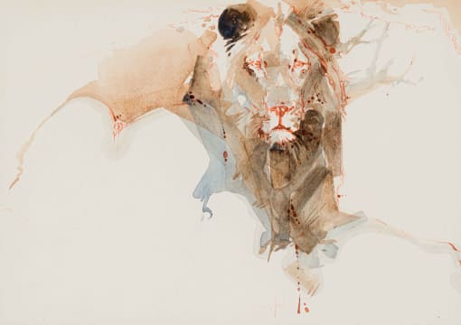 Keith Joubert; Lion