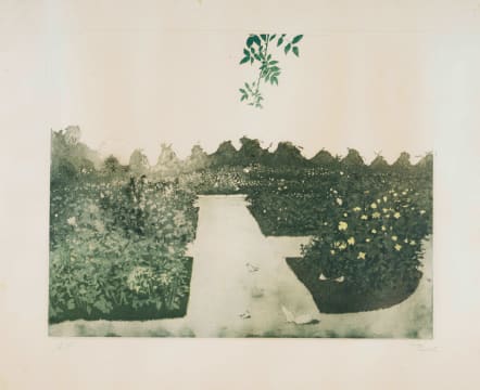 Patrick Procktor; Garden Path
