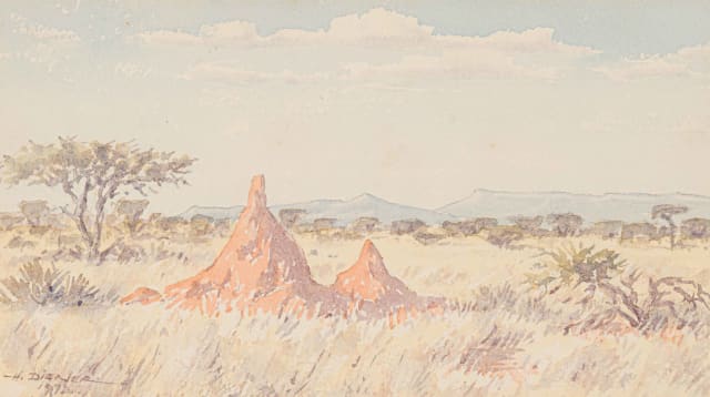 Herbert Diener; Anthill in Kalkfeld SWA
