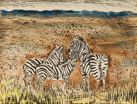 Gordon Vorster; Zebra