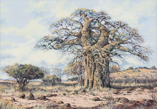 Francois Badenhorst; Baobab