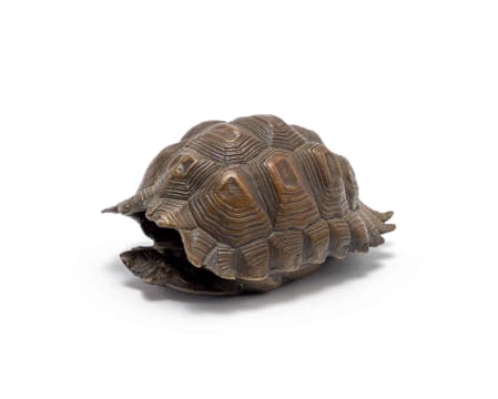 Susanna Swart; Serrated Tortoise