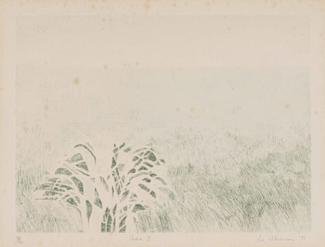 Sue Williamson; Etosha