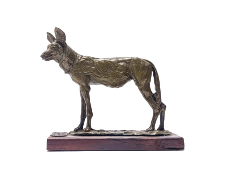 Arend Eloff; Wild Dog