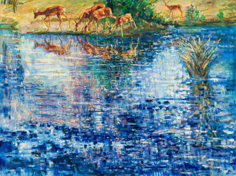 Zakkie Eloff; Impala Reflections
