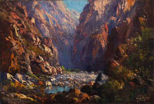 Tinus de Jongh; Gorge