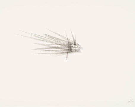 Wim Botha; Thousand Things, Part 28