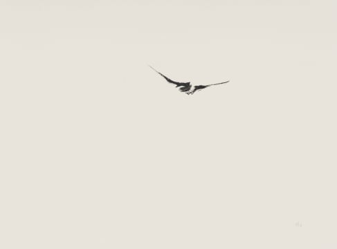 Wim Botha; Thousand Things, Part 146