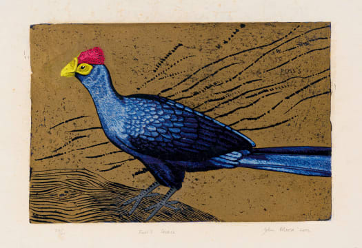 John Moore; Ross's Lourie