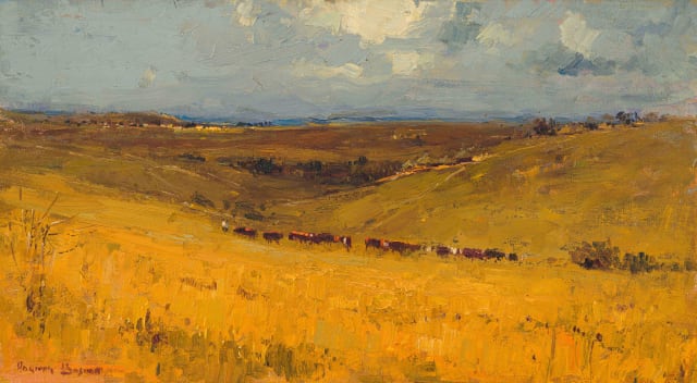 Adriaan Boshoff; Scene Belfast (E. Tvl)