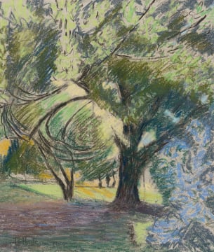 Leonora Everard-Haden; Sunlight and Trees