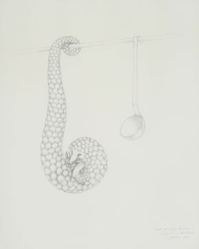 Judith Mason; A Page of an Engen Bestiary - A Pangolin in the Kitchen