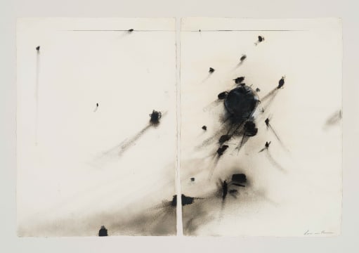 Louis van Heerden; Black and White Abstract, diptych