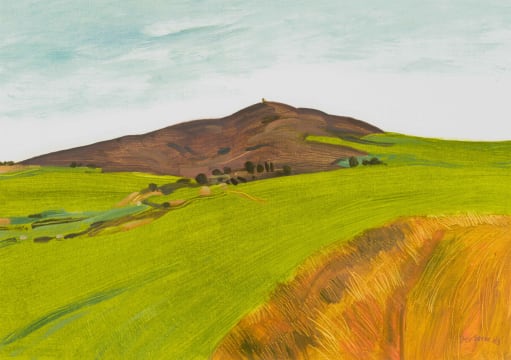 Nico Verboom; The Swartberg near Piketberg