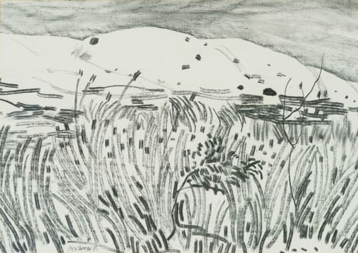 Nico Verboom; Grassy Landscape
