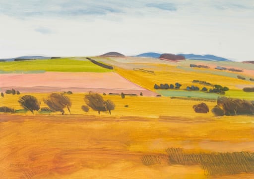 Nico Verboom; Extensive Farm Landscape