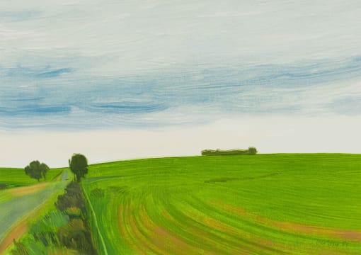 Nico Verboom; Grassy Landscape with Roadway