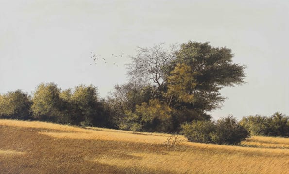 John Meyer; Landscape with Thorn Trees