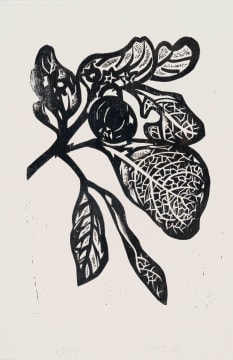 Walter Battiss; Fruit and Leaves