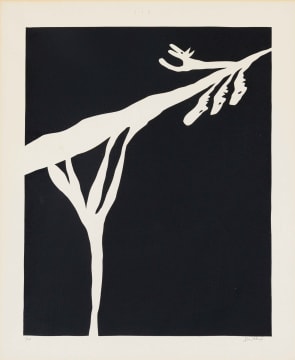 Walter Battiss; Abstract Branch