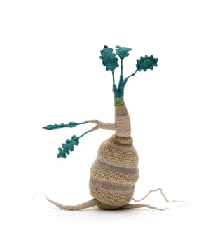 Peta Becker; Sprouting tuber, 2024