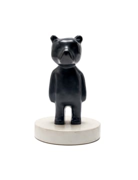 Frank (Francois) van Reenen; I am the Bear