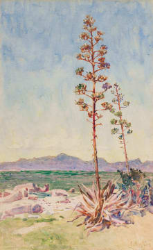 Constance Penstone; A G Miller's Point