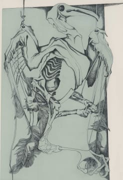 Cecily Sash; Bird Form
