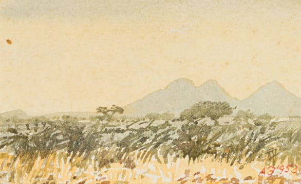 Adolph Jentsch; S W. Afrika