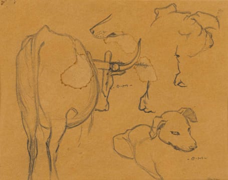 Erich Mayer; Dog and Cow studies