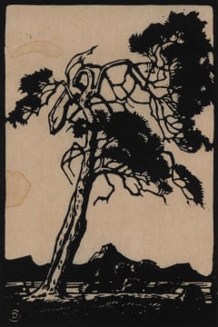 Jacob Hendrik Pierneef; Rooibosboom (Red Bush Willow) (Nilant 102)
