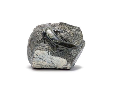 John Carlyon; Lizzard (sic)