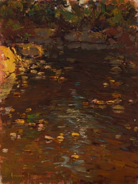 Adriaan Boshoff; Stream