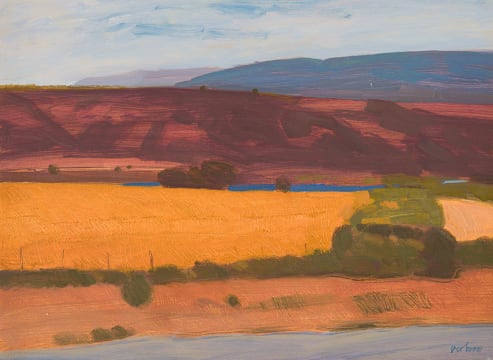 Nico Verboom; Karoo Landscape