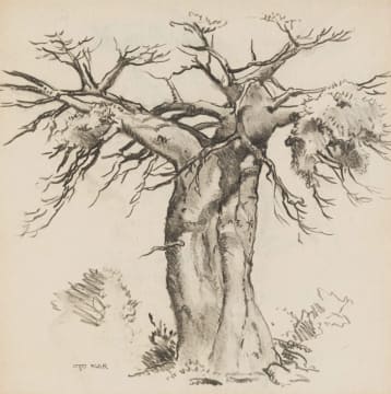 Otto Klar; Baobab