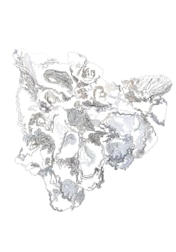 Nellien Brewer; Oyster II