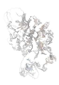 Nellien Brewer; Oyster III