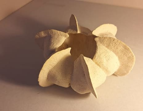Petra Thorsen; Echinoderm