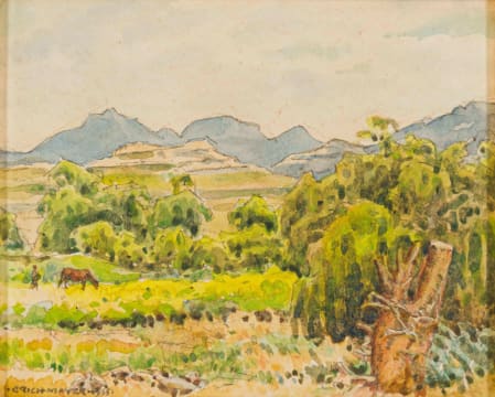 Erich Mayer; Wilgerbome/Willows, Dist. Bethlehem