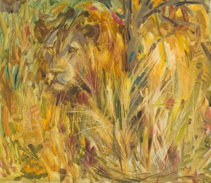 Zakkie Eloff; Lion