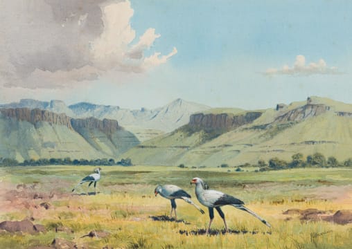 John Cyril Harrison; Landscape with Secretary Birds